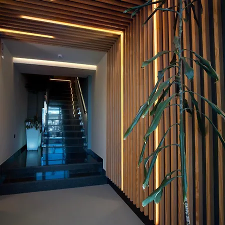 فندق Hotel Rio Lea 2*